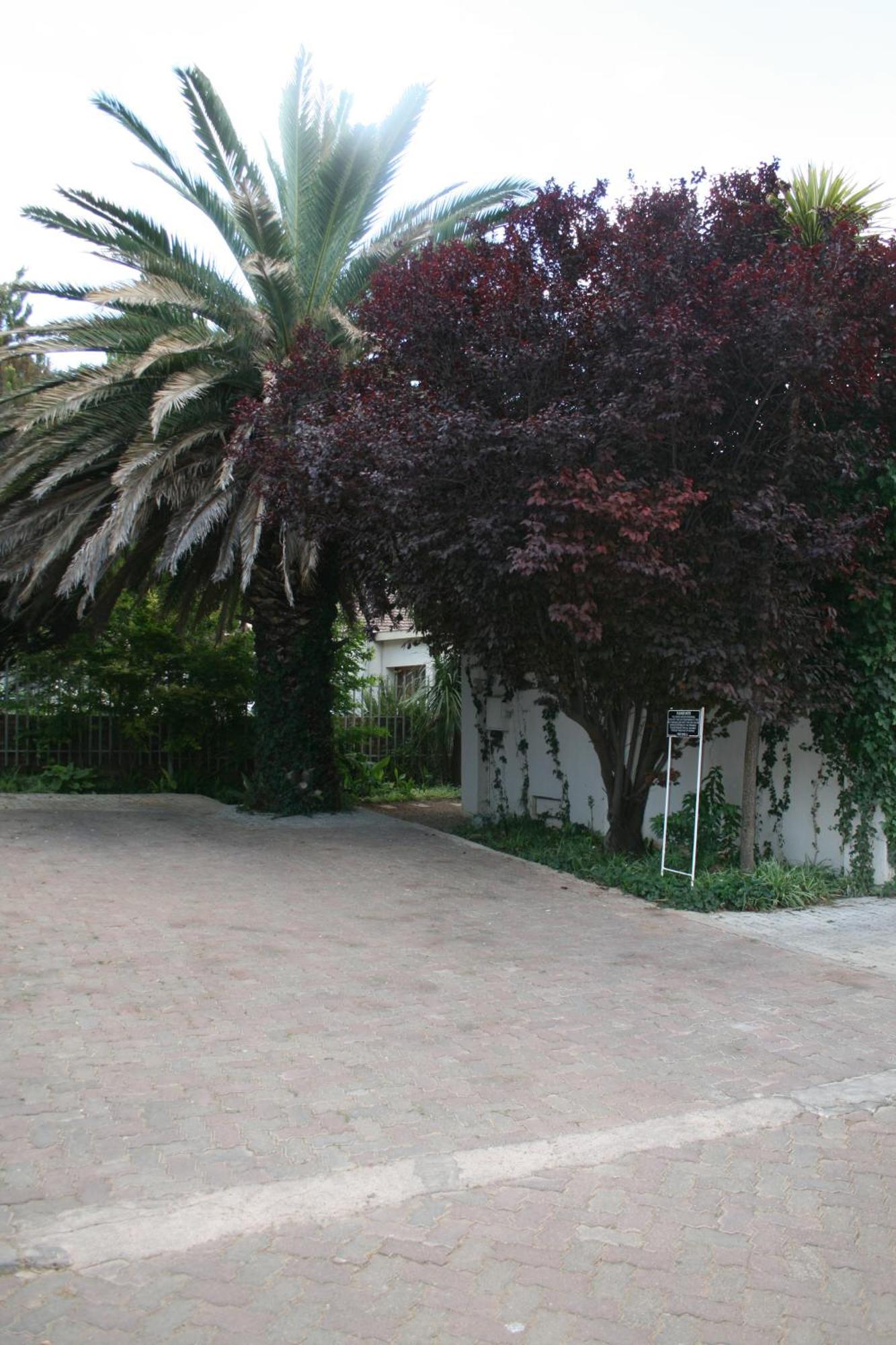 Indigo Moon Guesthouse Lichtenburg Екстер'єр фото